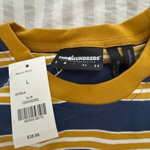 The Hundreds Navy and Gold Striped Tee